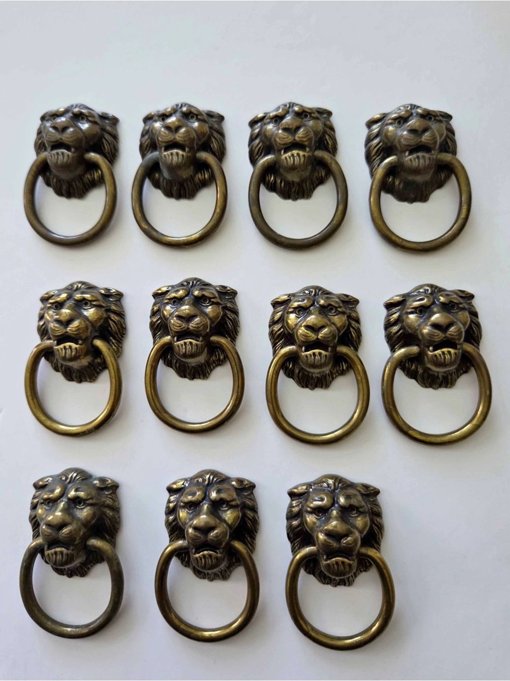 Antique Brass Lion Head Ring Pulls - Set of 11